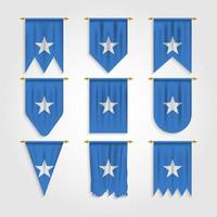 somalia flagga i olika former vektor