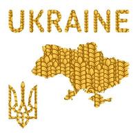 Vektorweizensymbole der Ukraine vektor