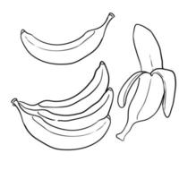 Gekritzel-Bananen-Illustration im handgezeichneten Stil vektor