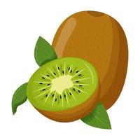 Ganze Kiwi mit grünem Blatt isoliert auf weißem Hintergrund. flache vektorillustration. vektor