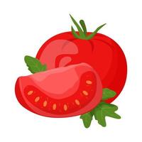 ganze Tomate isoliert auf weißem Hintergrund. flache vektorillustration. vektor