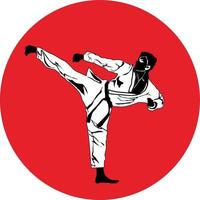 einfacher Karate-Logo-Vektor vektor