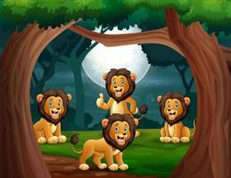 grupp av lejon i djungeln på natten illustration vektor