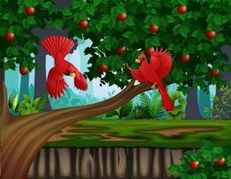 röd kardinal flyger nära äppelträdet vektor