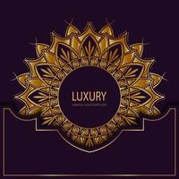 Luxus-Mandala-Hintergrund, Vektordesign 014 vektor