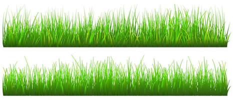 grönt gräs bakgrund, realistiskt gräs set isolerade, gratis vektor