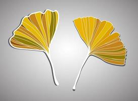 vektorillustration des ginkgo-biloba-blattes. Tintenlinie Kunstdesign vektor