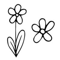 Gekritzellinie Kunstgekritzelblumen auf weißem Hintergrund. Vektor-Illustration. vektor