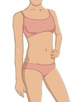 perfekter weiblicher Körper, schlank und gut fit. Frau, die in Unterwäsche steht. Nahaufnahmebild von Oberkörper, Armen, Brust, Taille und Oberschenkeln, Vorderansicht. Konturvektorillustration Gewichtsverlust und Fitnesskonzept. vektor