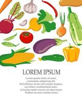 eine reihe von verschiedenen gemüse. veganes gesundes essen. ernte von organischen gesunden lebensmitteln. Vektorhintergrund für Menü- oder Einladungsvorlage vektor