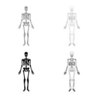 Skelett menschliches Set Symbol grau schwarz Farbe Vektor Illustration Bild solide Füllung Umriss Konturlinie dünn flach Stil