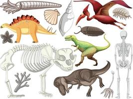 satz verschiedener prähistorischer dinosauriertiere vektor