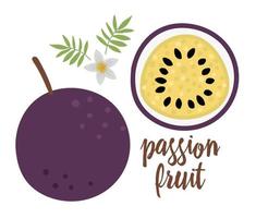 vektor passionsfrukt ClipArt. djungel frukt illustration. handritad platta exotiska växter isolerad på vit bakgrund. ljusa barnsliga hälsosamma tropiska sommarmat illustration.