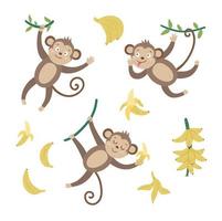 Vektorset mit niedlichen Affen mit Bananen isoliert auf weißem Hintergrund. lustige tropische tiere und fruchtillustration. helles flaches bild für kinder. Dschungel-Sommer-ClipArt vektor