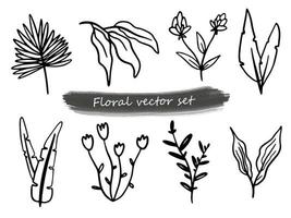 Vektorsammlung Strichzeichnungen von Blumen und Pflanzen. dekorative Schönheit elegante Illustration für Design. handgezeichnetes blumenset. vektor