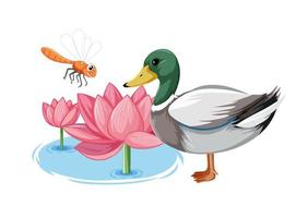 rosa Lotusblumen mit Ente am Teich vektor