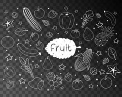 handritad doodle av frukter vektor