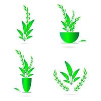 blumen topfpflanze vase grün natur kranz abstrakt hintergrund kunst grafikdesign vektorillustration vektor