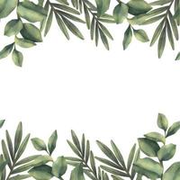 aquarellrahmen aus grünen tropischen zweigen. handbemalte Blumengrenze mit Ästen isoliert auf weißem Hintergrund. vektor