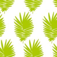 tropischer hintergrund mit handgezeichneten palmblättern auf weiß. tropische nahtlose Muster. vektor