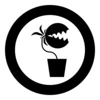 Fleischfressende Pflanze Fliegenfalle Monster mit Zähnen im Topf Symbol im Kreis rund schwarz Farbe Vektor Illustration Flat Style Image