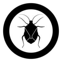 Bug Wanze Chinch True Bugs Hemipterans Insekt Schädlingssymbol im Kreis rundes schwarzes Farbvektor-Illustrations-Flat-Style-Image vektor