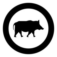 Wildschwein Wildschwein Schwein Warzenschwein Symbol im Kreis rund um schwarze Farbe Vektor Illustration Flat Style Image