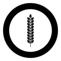 spikelet av vete växt gren ikon i cirkel rund svart färg vektor illustration platt stil bild