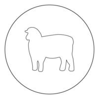 Schafe Silhouette schwarzes Symbol im Kreis Vektor-Illustration isoliert. vektor