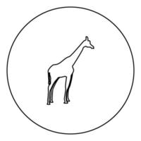giraff svart ikon i cirkel kontur vektor