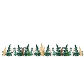 ormbunke horisontell banner. vektor stock illustration. isolerad på en vit bakgrund. sommar. mörkgrönt bladverk. skogsram.