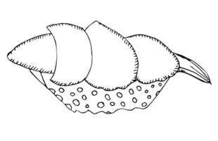 Stück Fisch Thunfisch Lachs mit Reis, frische Sushi-Rolle isoliert auf weiß, Vektorillustration. vektor