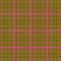 nahtloser Tartan-Plaid-Musterhintergrund. Textile Textur. Vektor. vektor