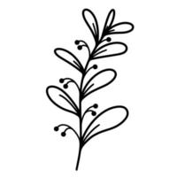 kvist med löv och bär. vektor ikon isolerad på vit bakgrund. handritad gren. vilda gräs, svart doodle. växtkontur