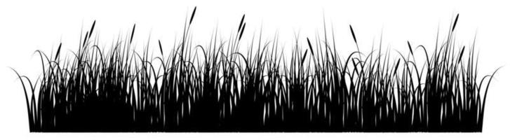 Gras Schwarz-Weiß-Vektor