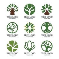 träd logotyp samling vektor