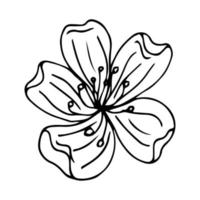 flower art linje. sakura eller äpple blommar i vektor isolerad på vit bakgrund. vårblommor ritade i svart och vit linje. ikon eller symbol för våren och flowers.doodle kontur. skiss.