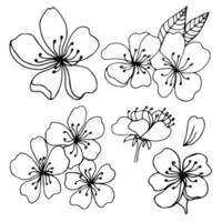 sakura-blumenblütenset, handgezeichnete linientintenart. Heilung Doodle Kirschpflanze Vektor-Illustration, schwarz auf weißem Hintergrund. realistische blumenblüte für japanische oder chinesische frühlingsferien vektor