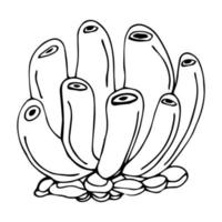 handritad svart och vitt hav doodle skiss illustration. korallerna. vektor