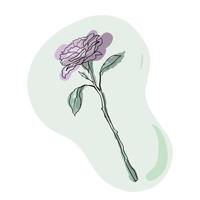 Blüte Rose Blume Vektor-Illustration vektor