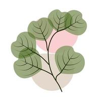 abstrakte Blätter auf einem Ast, minimalistischer Boho-Stil, Pflanze für Postkarte, botanischer Wanddruck, Tapete, Cover, Vektorillustration