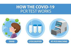 Covid-19-Testdiagramm mit Antigen-Testkit vektor