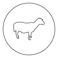 Schaf Schaf Hausvieh Nutztier Paarhufer Lamm Rinder Silhouette im Kreis rund schwarz Farbe Vektor Illustration Kontur Umriss Stil Bild