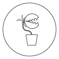 köttätande växt flugfälla monster med tänder i kruka ikon i cirkel rund kontur svart färg vektor illustration platt stil bild