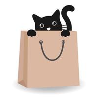 süße schwarze Katze in einer Tasche auf weißem Hintergrund vektor