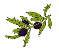 handgezeichneter Zweig mit schwarzen Oliven. vektor