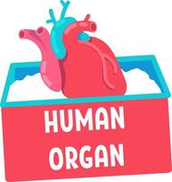 mänskligt organ för transplantation semi platt färg vektorobjekt vektor