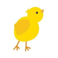 söt gul babykyckling för påskdesign. liten gul tecknad brud. vektor illustration isolerad på vit bakgrund