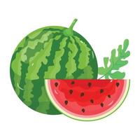 Das isometrische Premium-Symbol der Wassermelone ist einsatzbereit vektor