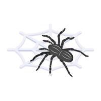 eine gruselige isometrische Ikone des Spinnennetzes, editierbarer Vektor